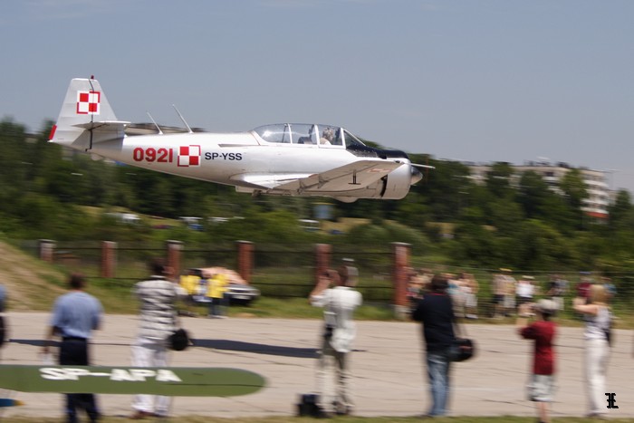 TS-8 Bies
